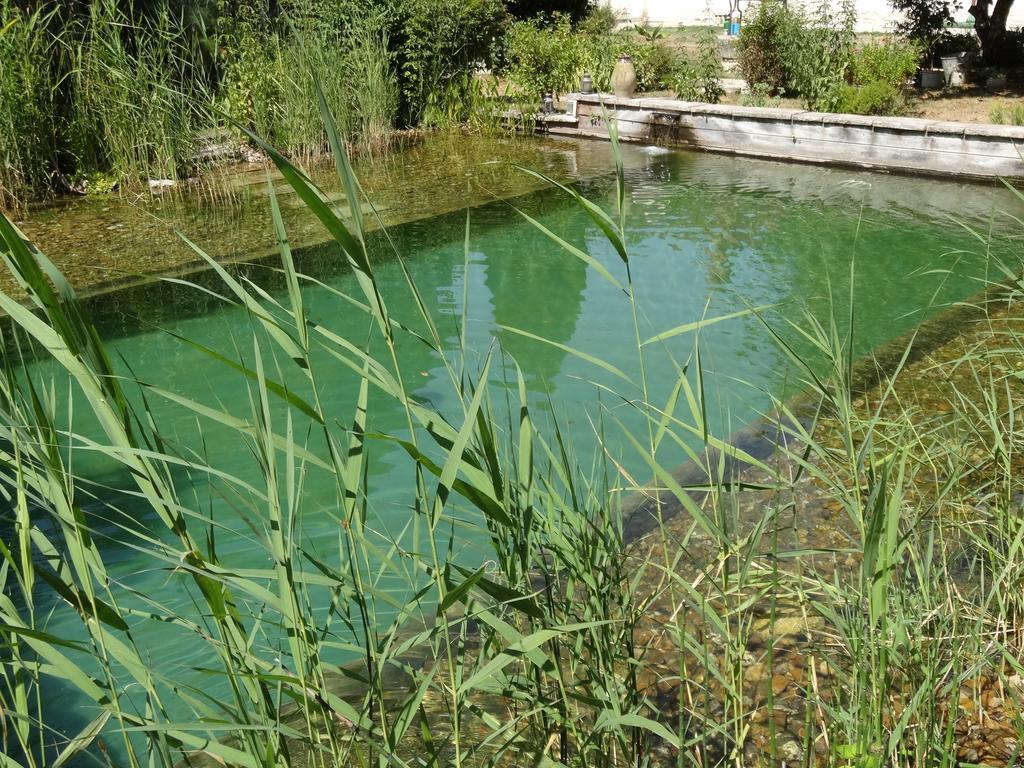 Jardin De Canaan Saint-Julien-de-Chédon Kültér fotó